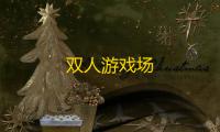 双人游戏场